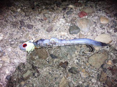 太刀魚調査・・・渋かった(泣)